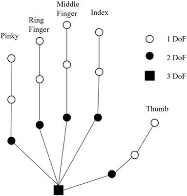 Glove versus controller: the effect of VR gloves and controllers on presence, embodiment, and cognitive absorption